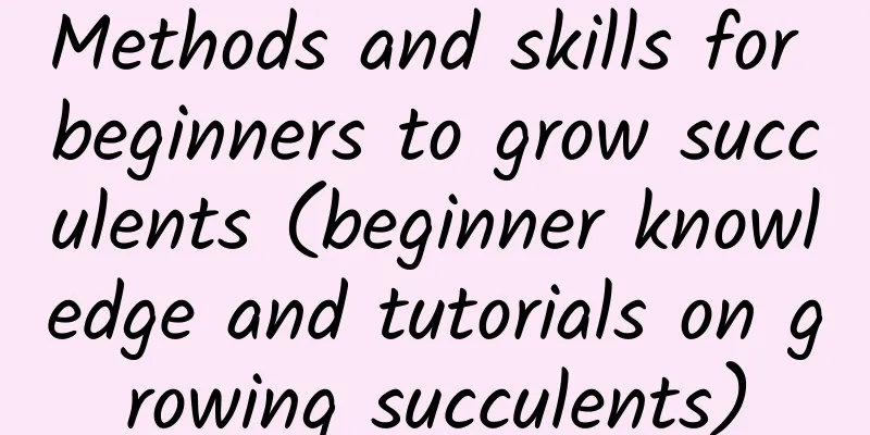 Methods and skills for beginners to grow succulents (beginner knowledge and tutorials on growing succulents)
