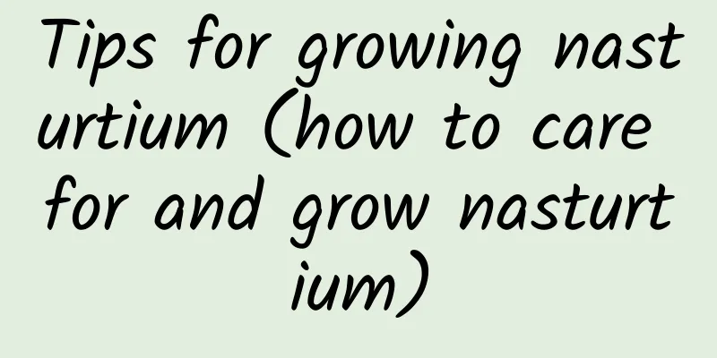 Tips for growing nasturtium (how to care for and grow nasturtium)