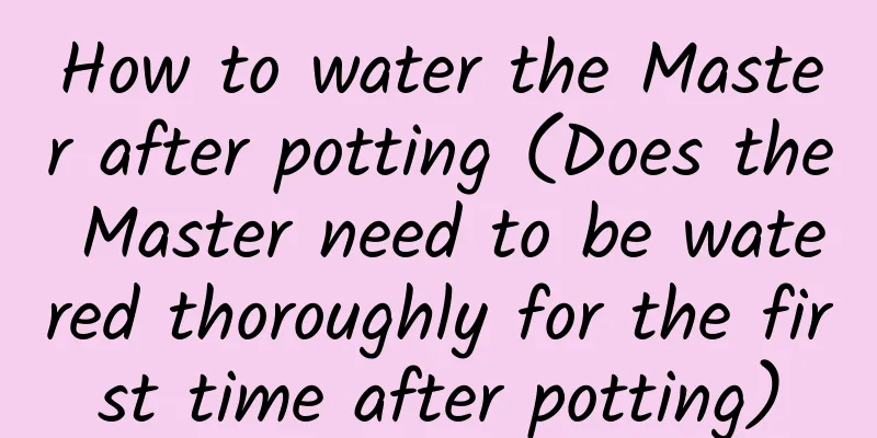 How to water the Master after potting (Does the Master need to be watered thoroughly for the first time after potting)