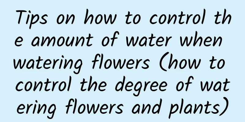 Tips on how to control the amount of water when watering flowers (how to control the degree of watering flowers and plants)