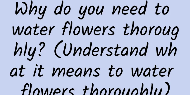 Why do you need to water flowers thoroughly? (Understand what it means to water flowers thoroughly)