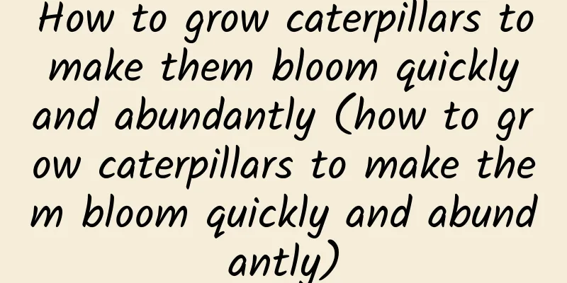 How to grow caterpillars to make them bloom quickly and abundantly (how to grow caterpillars to make them bloom quickly and abundantly)