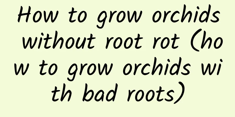 How to grow orchids without root rot (how to grow orchids with bad roots)