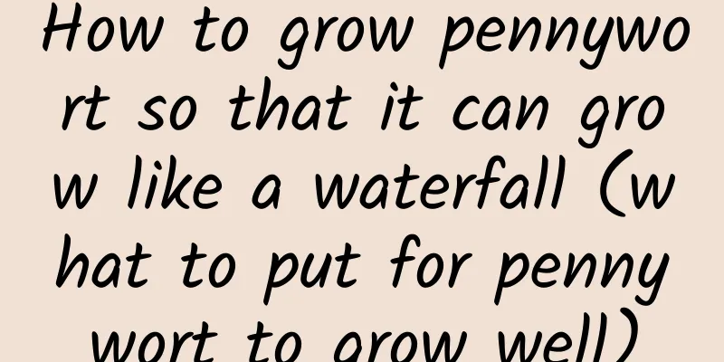 How to grow pennywort so that it can grow like a waterfall (what to put for pennywort to grow well)