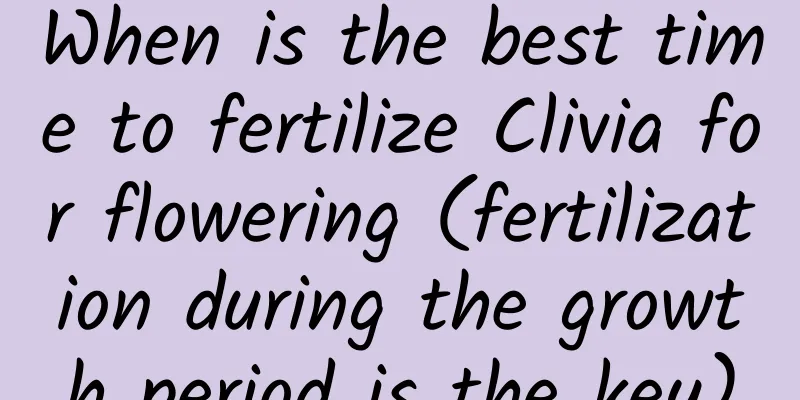 When is the best time to fertilize Clivia for flowering (fertilization during the growth period is the key)
