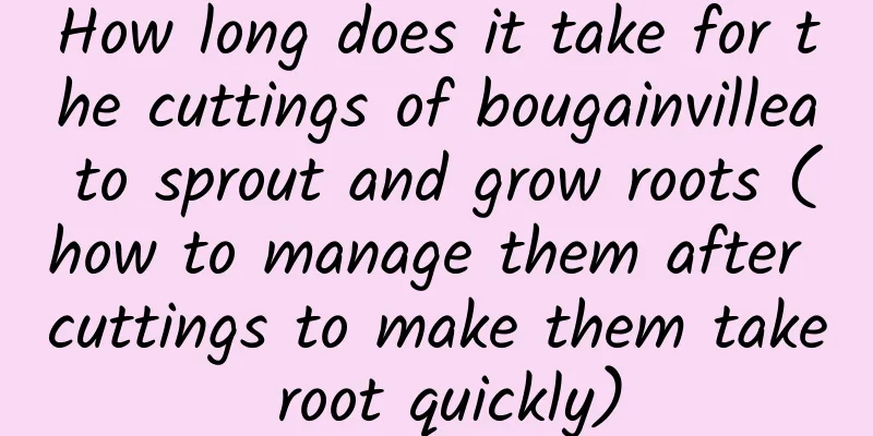 How long does it take for the cuttings of bougainvillea to sprout and grow roots (how to manage them after cuttings to make them take root quickly)