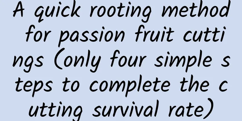 A quick rooting method for passion fruit cuttings (only four simple steps to complete the cutting survival rate)
