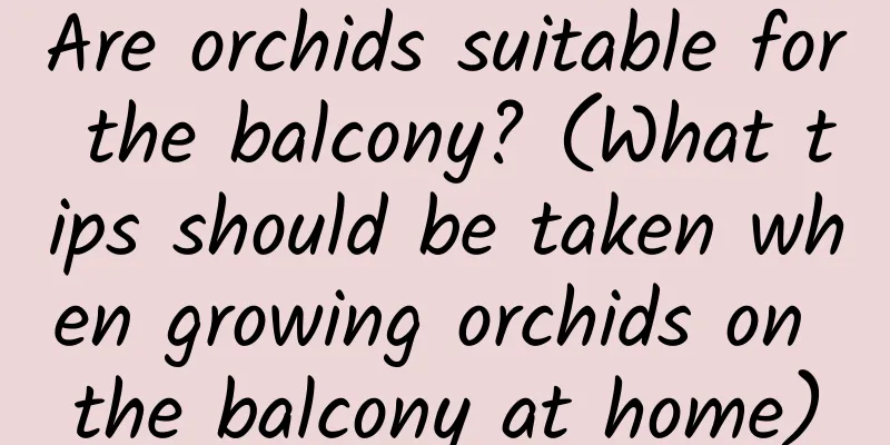 Are orchids suitable for the balcony? (What tips should be taken when growing orchids on the balcony at home)