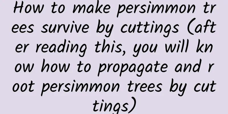How to make persimmon trees survive by cuttings (after reading this, you will know how to propagate and root persimmon trees by cuttings)