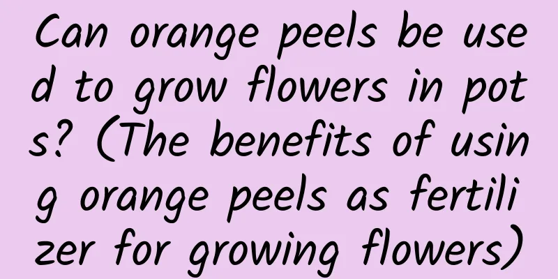 Can orange peels be used to grow flowers in pots? (The benefits of using orange peels as fertilizer for growing flowers)