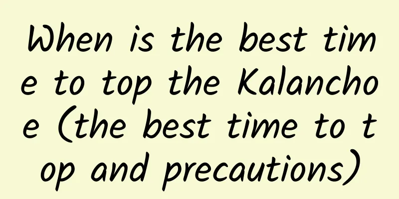 When is the best time to top the Kalanchoe (the best time to top and precautions)