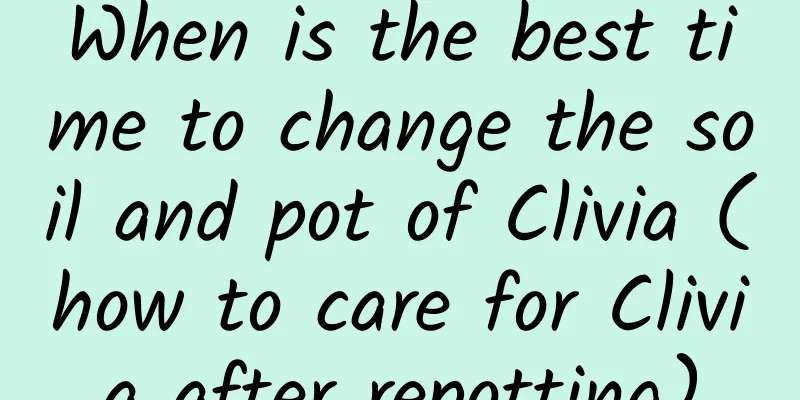 When is the best time to change the soil and pot of Clivia (how to care for Clivia after repotting)