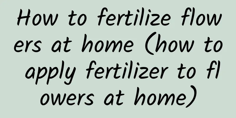 How to fertilize flowers at home (how to apply fertilizer to flowers at home)