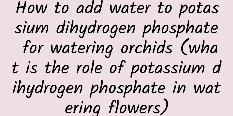 How to add water to potassium dihydrogen phosphate for watering orchids (what is the role of potassium dihydrogen phosphate in watering flowers)