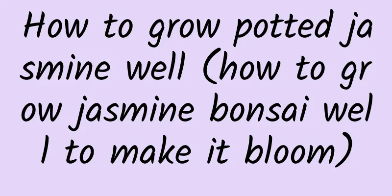 How to grow potted jasmine well (how to grow jasmine bonsai well to make it bloom)