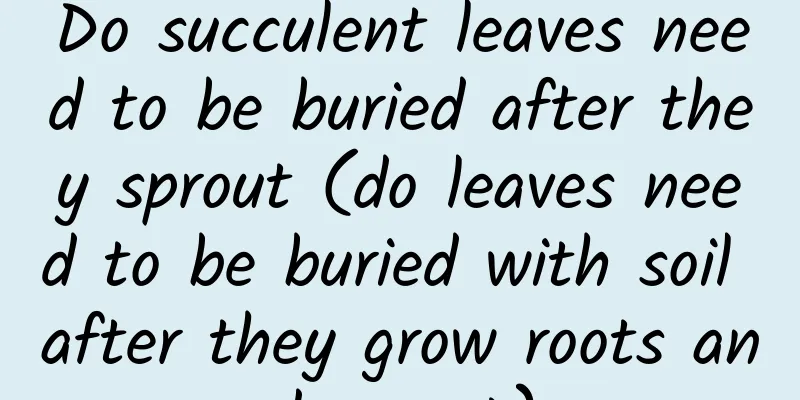 Do succulent leaves need to be buried after they sprout (do leaves need to be buried with soil after they grow roots and sprout)