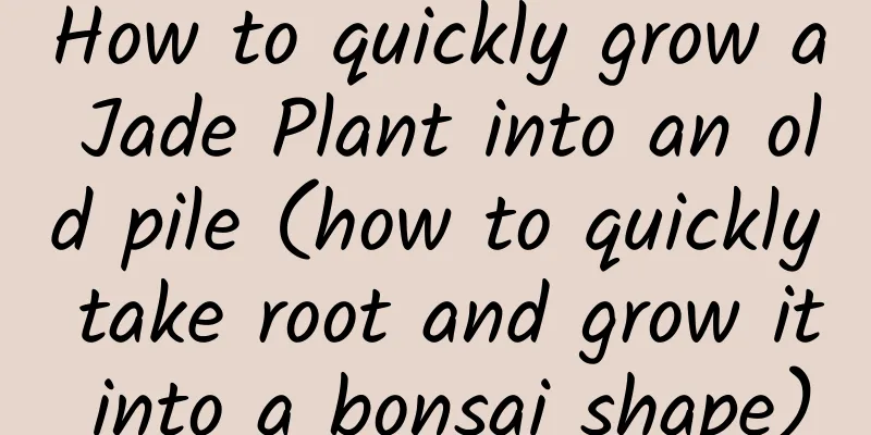 How to quickly grow a Jade Plant into an old pile (how to quickly take root and grow it into a bonsai shape)