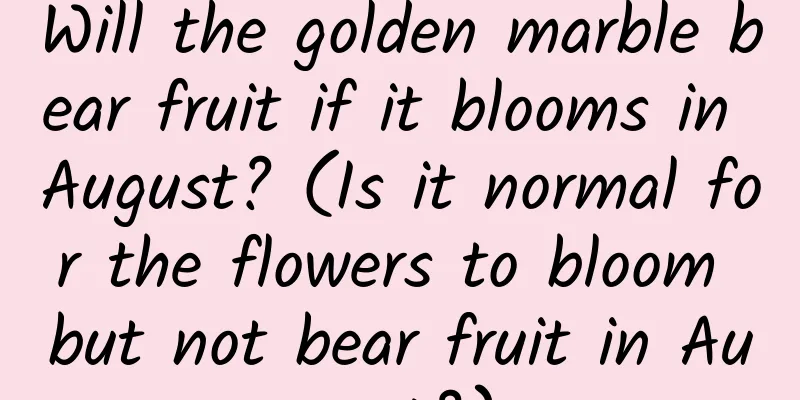 Will the golden marble bear fruit if it blooms in August? (Is it normal for the flowers to bloom but not bear fruit in August?)