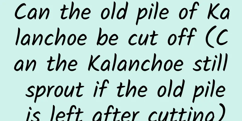 Can the old pile of Kalanchoe be cut off (Can the Kalanchoe still sprout if the old pile is left after cutting)