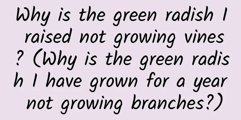 Why is the green radish I raised not growing vines? (Why is the green radish I have grown for a year not growing branches?)