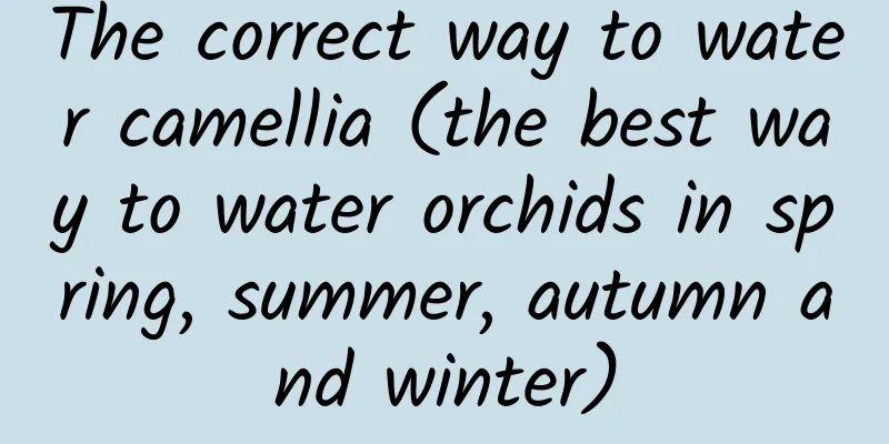 The correct way to water camellia (the best way to water orchids in spring, summer, autumn and winter)