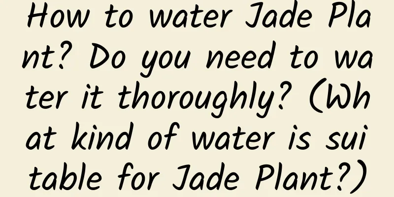 How to water Jade Plant? Do you need to water it thoroughly? (What kind of water is suitable for Jade Plant?)