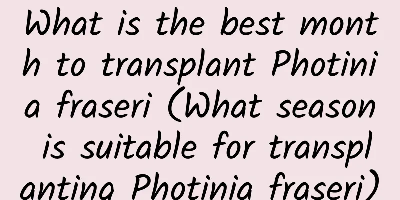 What is the best month to transplant Photinia fraseri (What season is suitable for transplanting Photinia fraseri)