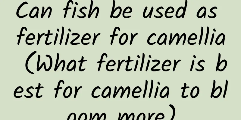 Can fish be used as fertilizer for camellia (What fertilizer is best for camellia to bloom more)