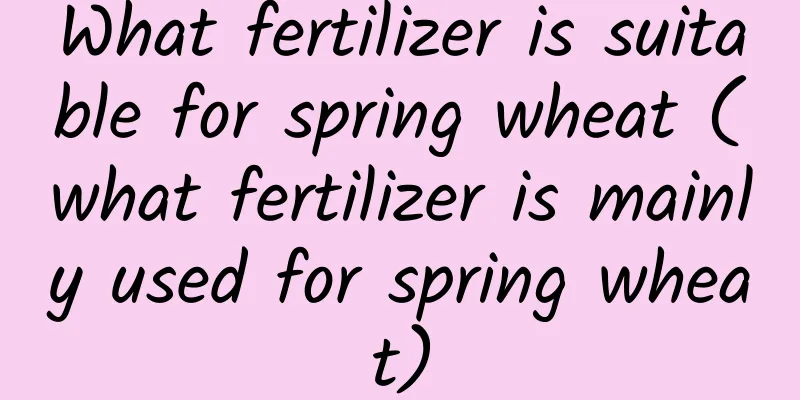 What fertilizer is suitable for spring wheat (what fertilizer is mainly used for spring wheat)