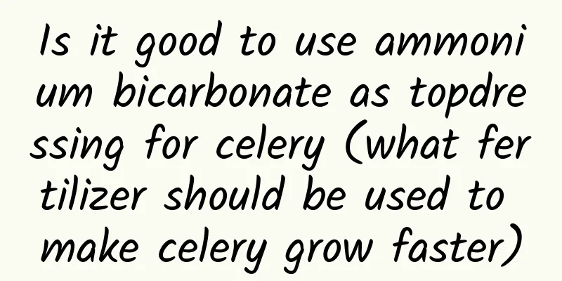 Is it good to use ammonium bicarbonate as topdressing for celery (what fertilizer should be used to make celery grow faster)