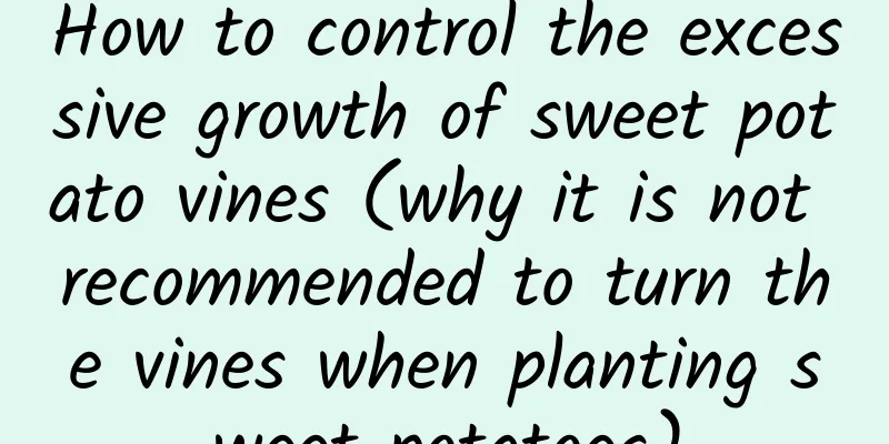 How to control the excessive growth of sweet potato vines (why it is not recommended to turn the vines when planting sweet potatoes)