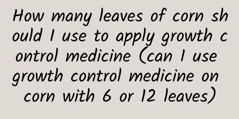 How many leaves of corn should I use to apply growth control medicine (can I use growth control medicine on corn with 6 or 12 leaves)