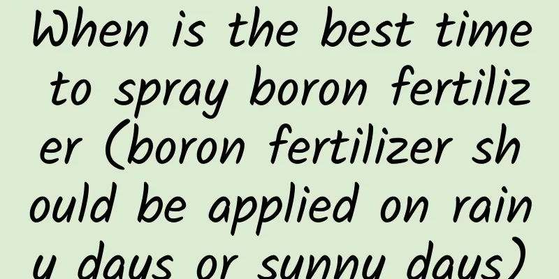 When is the best time to spray boron fertilizer (boron fertilizer should be applied on rainy days or sunny days)