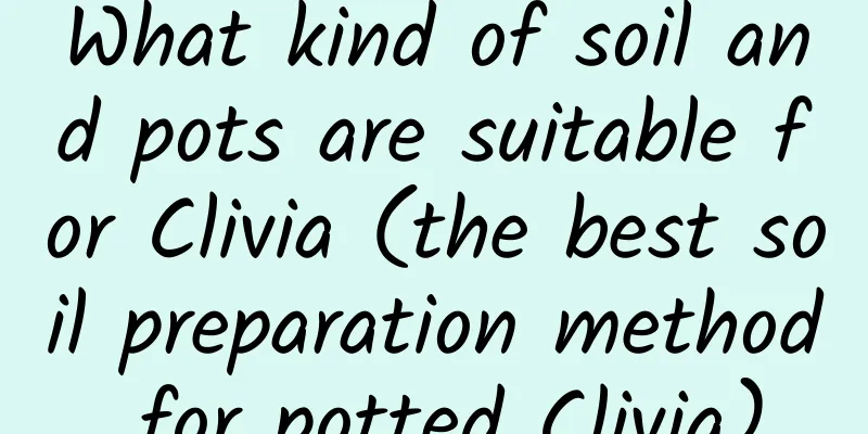 What kind of soil and pots are suitable for Clivia (the best soil preparation method for potted Clivia)