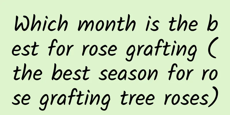 Which month is the best for rose grafting (the best season for rose grafting tree roses)