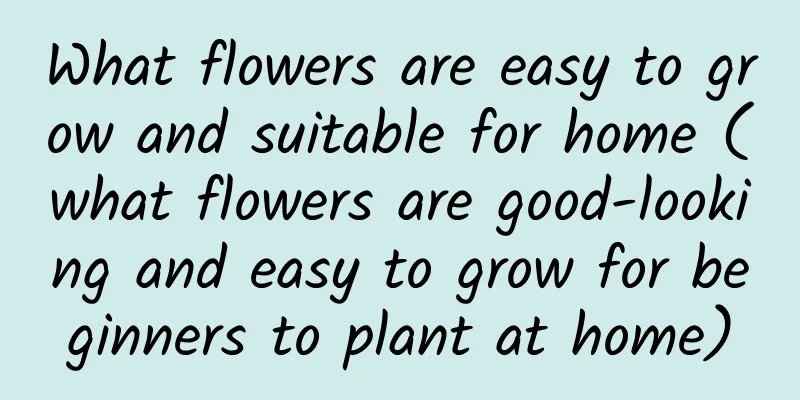 What flowers are easy to grow and suitable for home (what flowers are good-looking and easy to grow for beginners to plant at home)