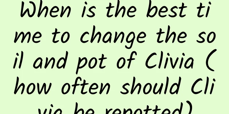 When is the best time to change the soil and pot of Clivia (how often should Clivia be repotted)