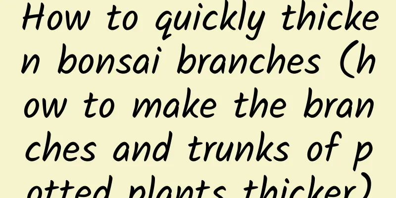 How to quickly thicken bonsai branches (how to make the branches and trunks of potted plants thicker)
