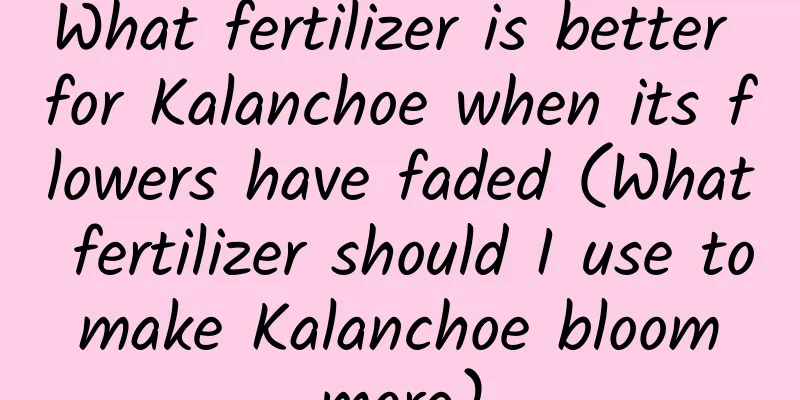 What fertilizer is better for Kalanchoe when its flowers have faded (What fertilizer should I use to make Kalanchoe bloom more)