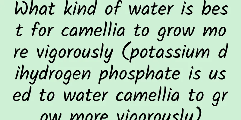 What kind of water is best for camellia to grow more vigorously (potassium dihydrogen phosphate is used to water camellia to grow more vigorously)