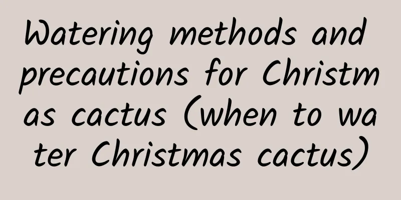 Watering methods and precautions for Christmas cactus (when to water Christmas cactus)