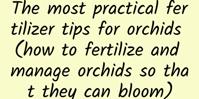The most practical fertilizer tips for orchids (how to fertilize and manage orchids so that they can bloom)