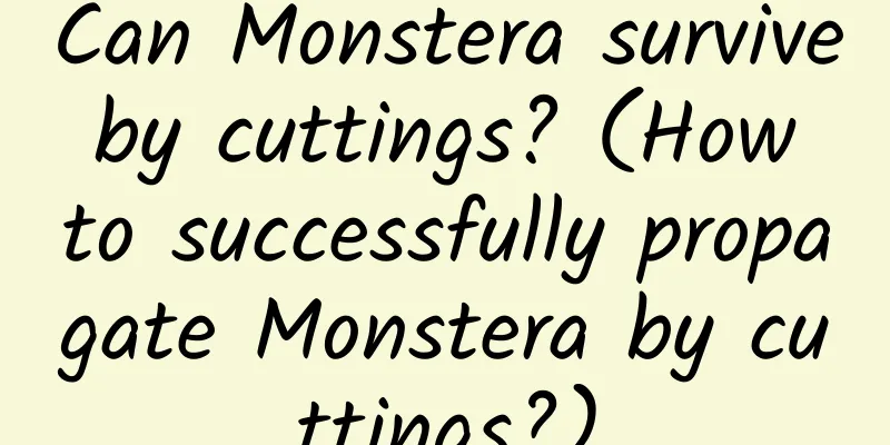 Can Monstera survive by cuttings? (How to successfully propagate Monstera by cuttings?)