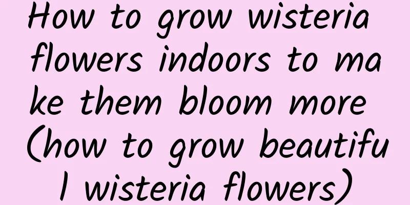 How to grow wisteria flowers indoors to make them bloom more (how to grow beautiful wisteria flowers)