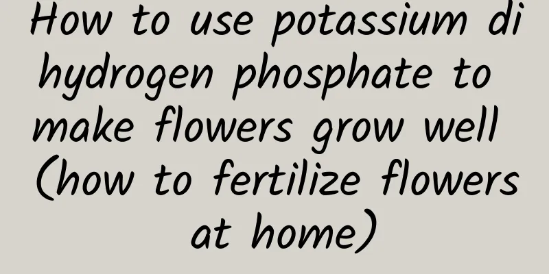 How to use potassium dihydrogen phosphate to make flowers grow well (how to fertilize flowers at home)