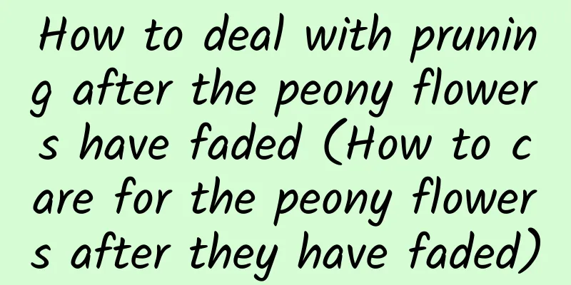 How to deal with pruning after the peony flowers have faded (How to care for the peony flowers after they have faded)