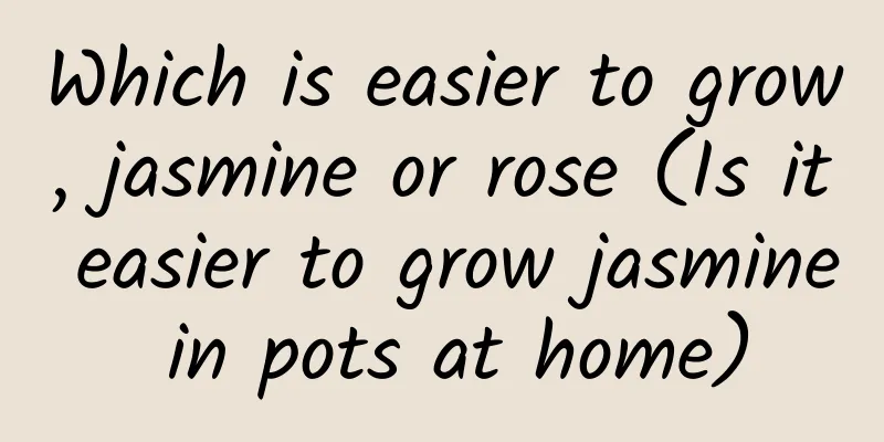 Which is easier to grow, jasmine or rose (Is it easier to grow jasmine in pots at home)