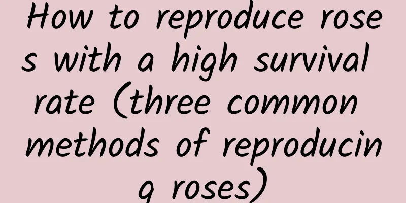 How to reproduce roses with a high survival rate (three common methods of reproducing roses)
