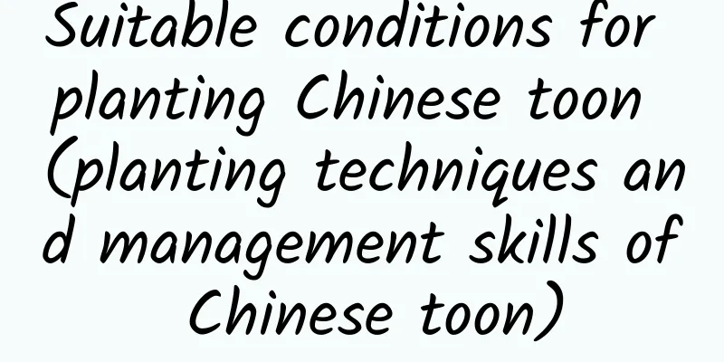 Suitable conditions for planting Chinese toon (planting techniques and management skills of Chinese toon)