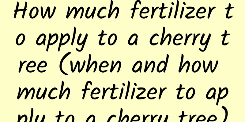 How much fertilizer to apply to a cherry tree (when and how much fertilizer to apply to a cherry tree)